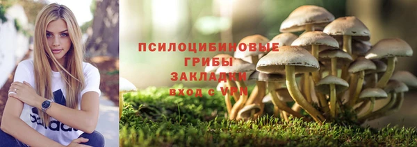 гидропоника Заволжск