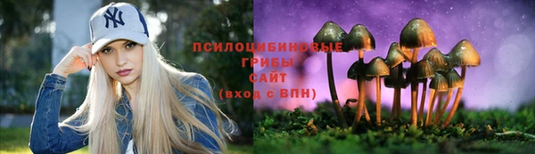 СК Зеленокумск