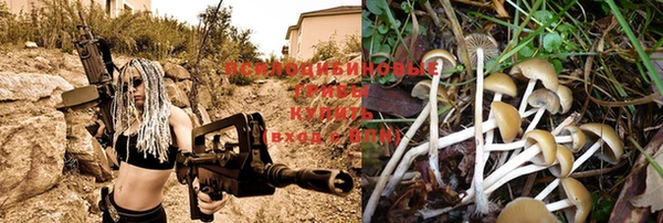 кристаллы Заволжье