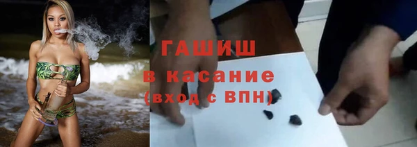 прущие грибы Калининец