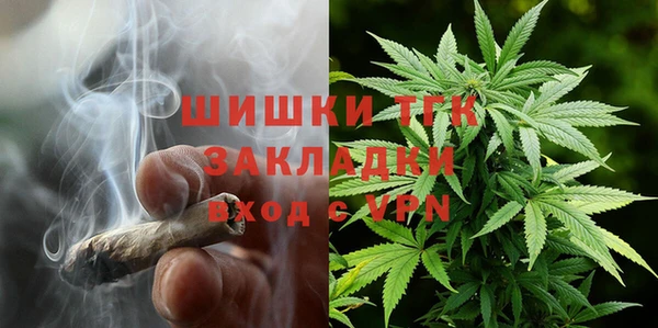 альфа пвп Заводоуковск