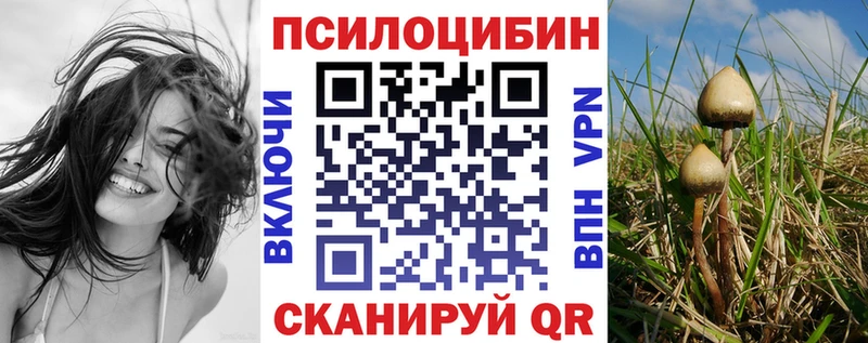 закладки  Сенгилей  Галлюциногенные грибы MAGIC MUSHROOMS 